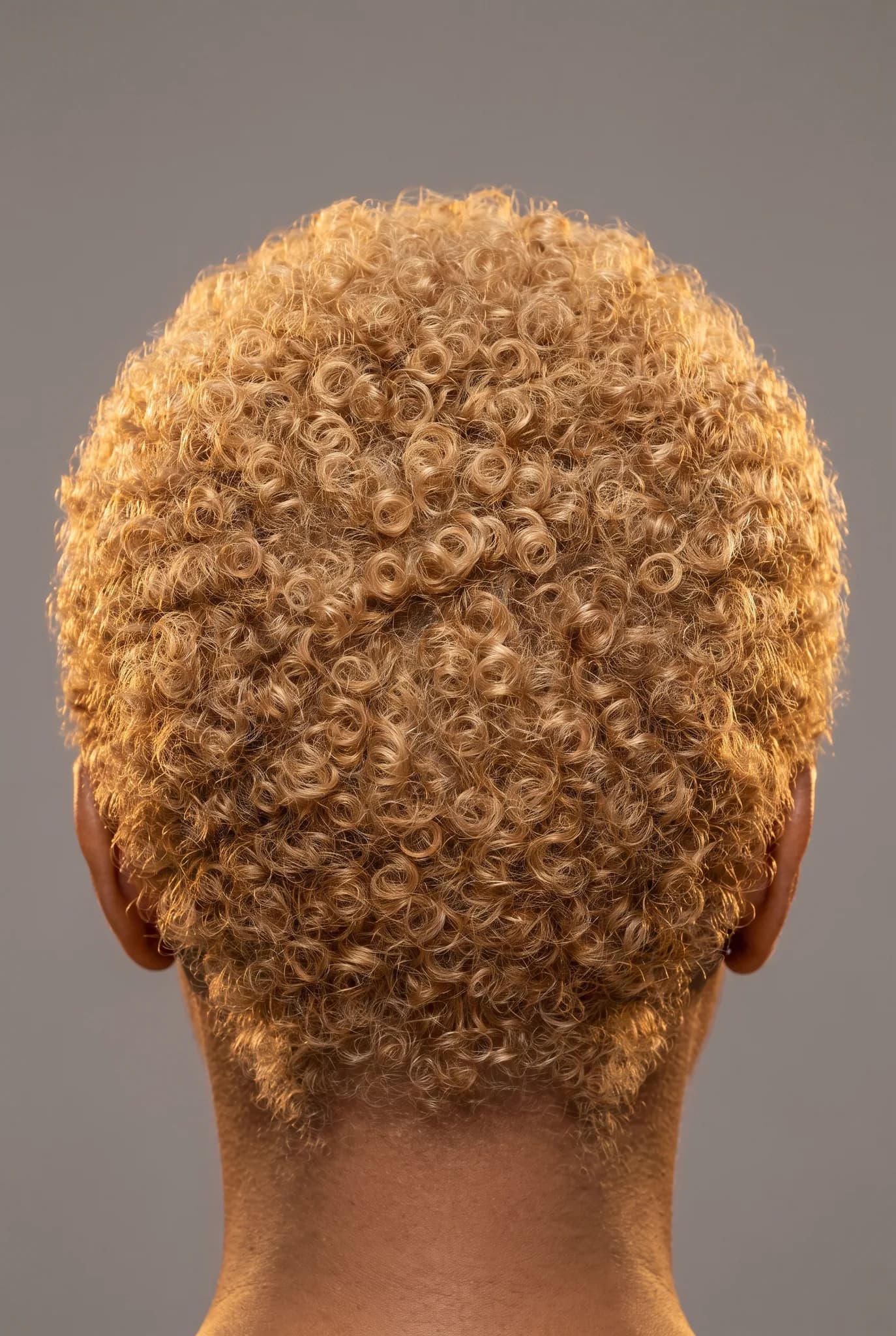 hairstyles: Back View Detail — front on — warm blonde — cropped short